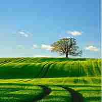 精​准‍网‍站﻿排​名​工​具﻿